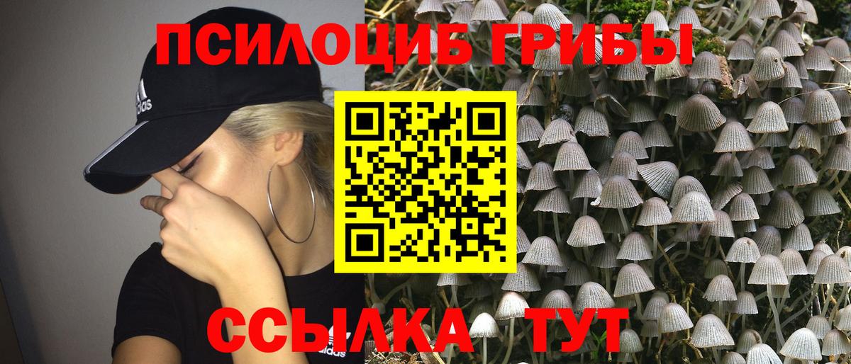 Псилоцибиновые грибы MAGIC MUSHROOMS Мурманск