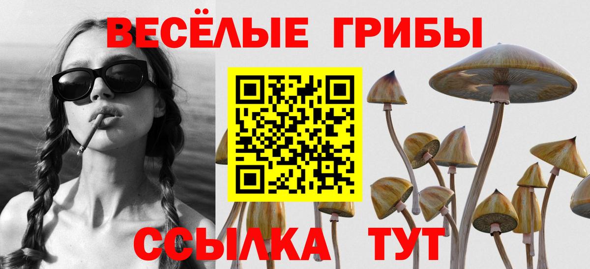 сколько стоит  Вход с VPN  Мурманск  Галлюциногенные грибы Cubensis 